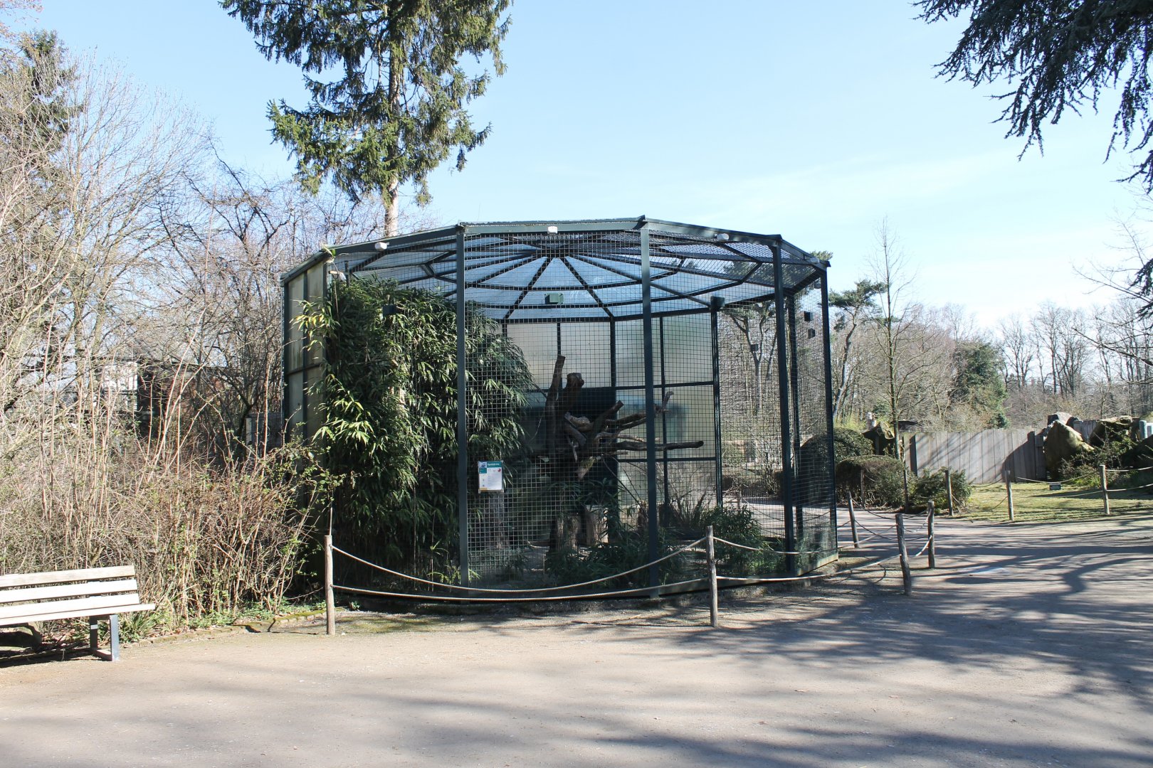 Outdoor-aviary Hyacinthine macaw