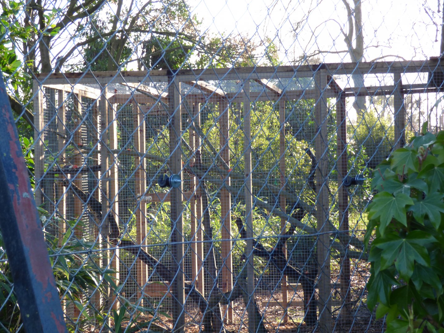 Outdoor Binturong Pen