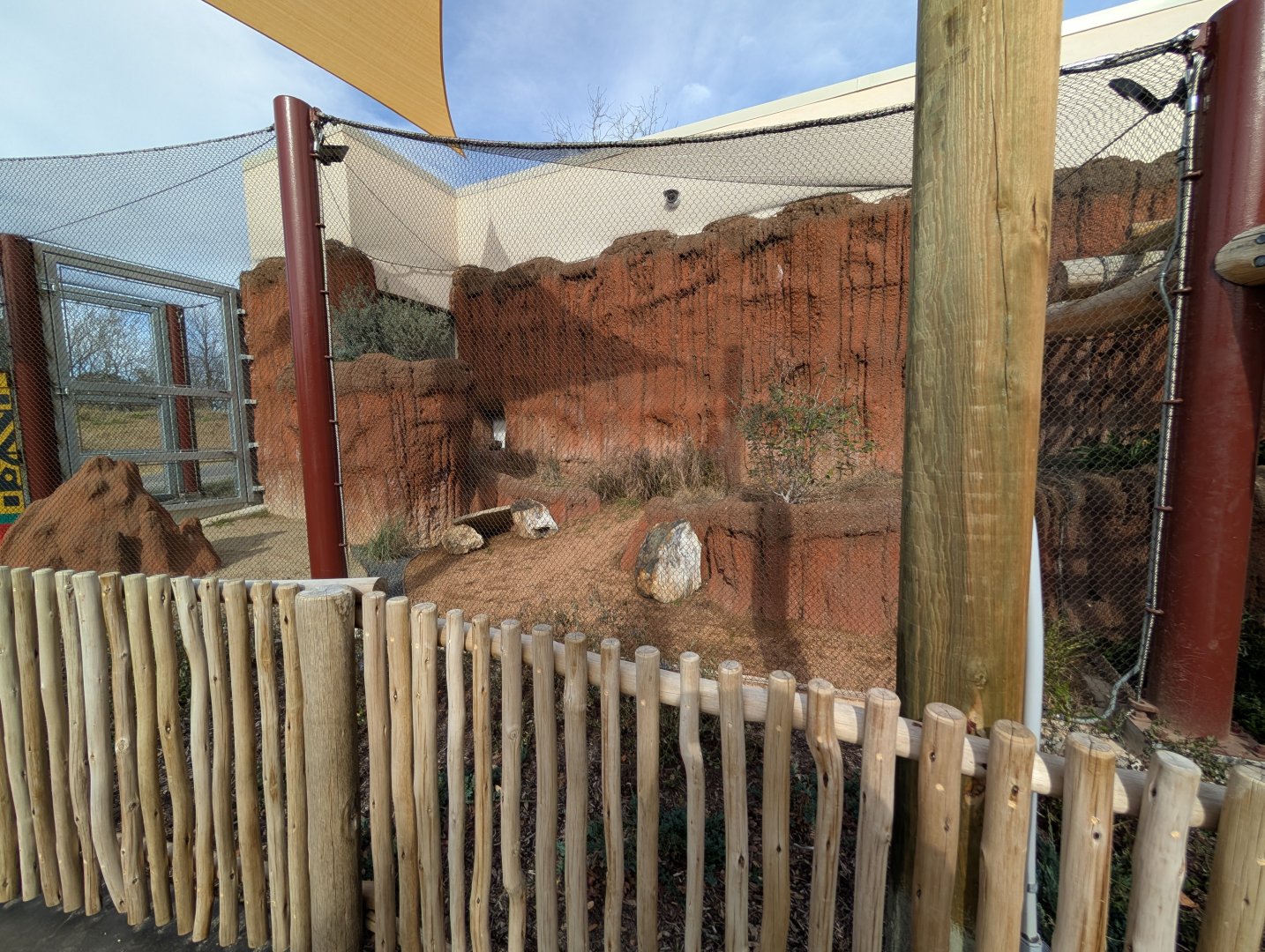Outdoor Black-Footed Cat enclosure