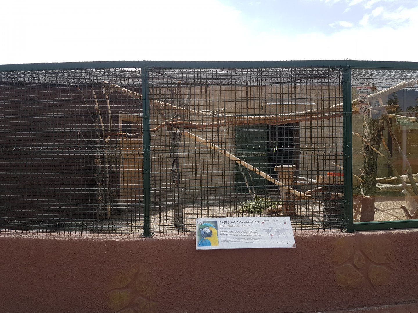 Outdoor blue and yellow macaw enclosure 19 May 2018