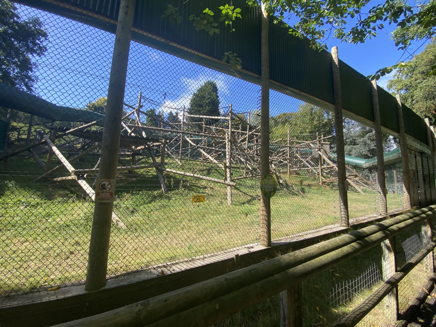 Outdoor Bornean orangutan enclosure 1