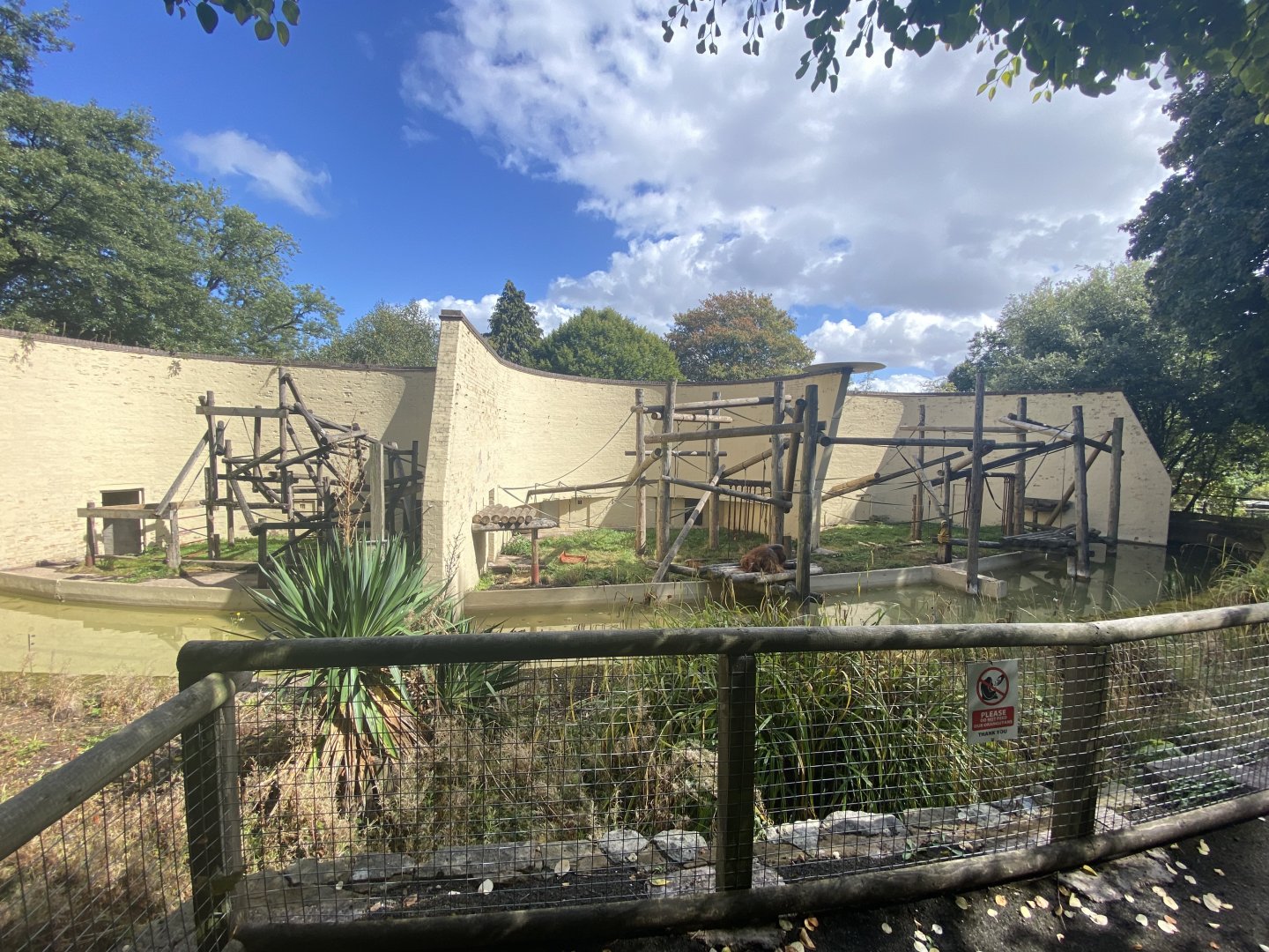 Outdoor Bornean orangutan enclosure 2