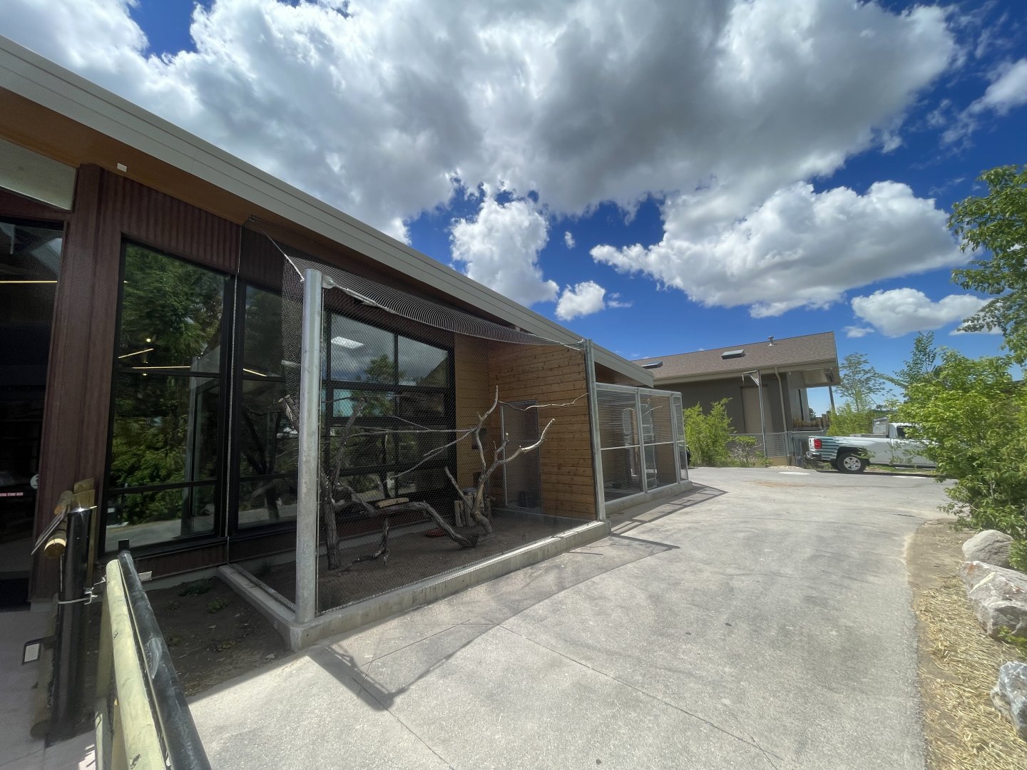 Outdoor Burrowing Owl and Desert Tortoise Habitat