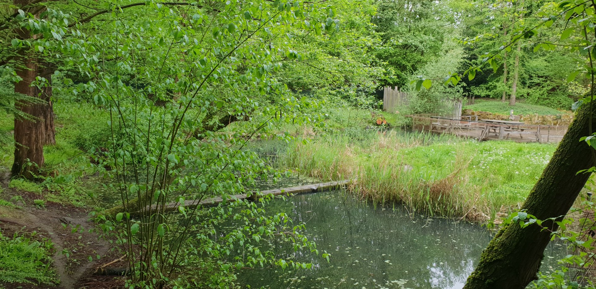 Outdoor Bush dog island