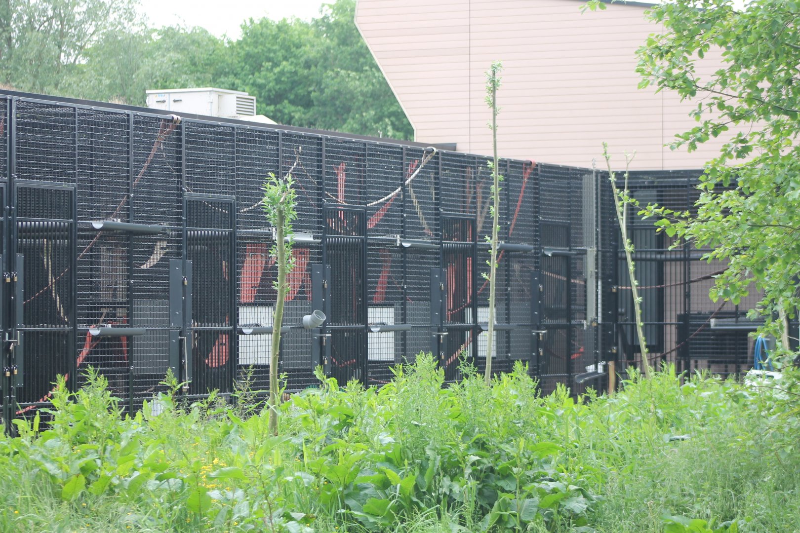 Outdoor cages Quarantaine-building