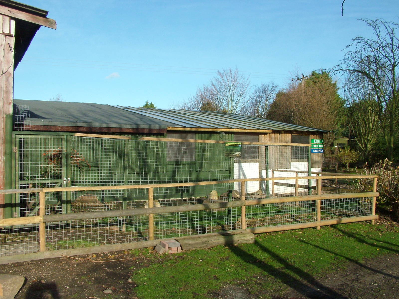 Outdoor Caiman area at Wingham 28/11/09