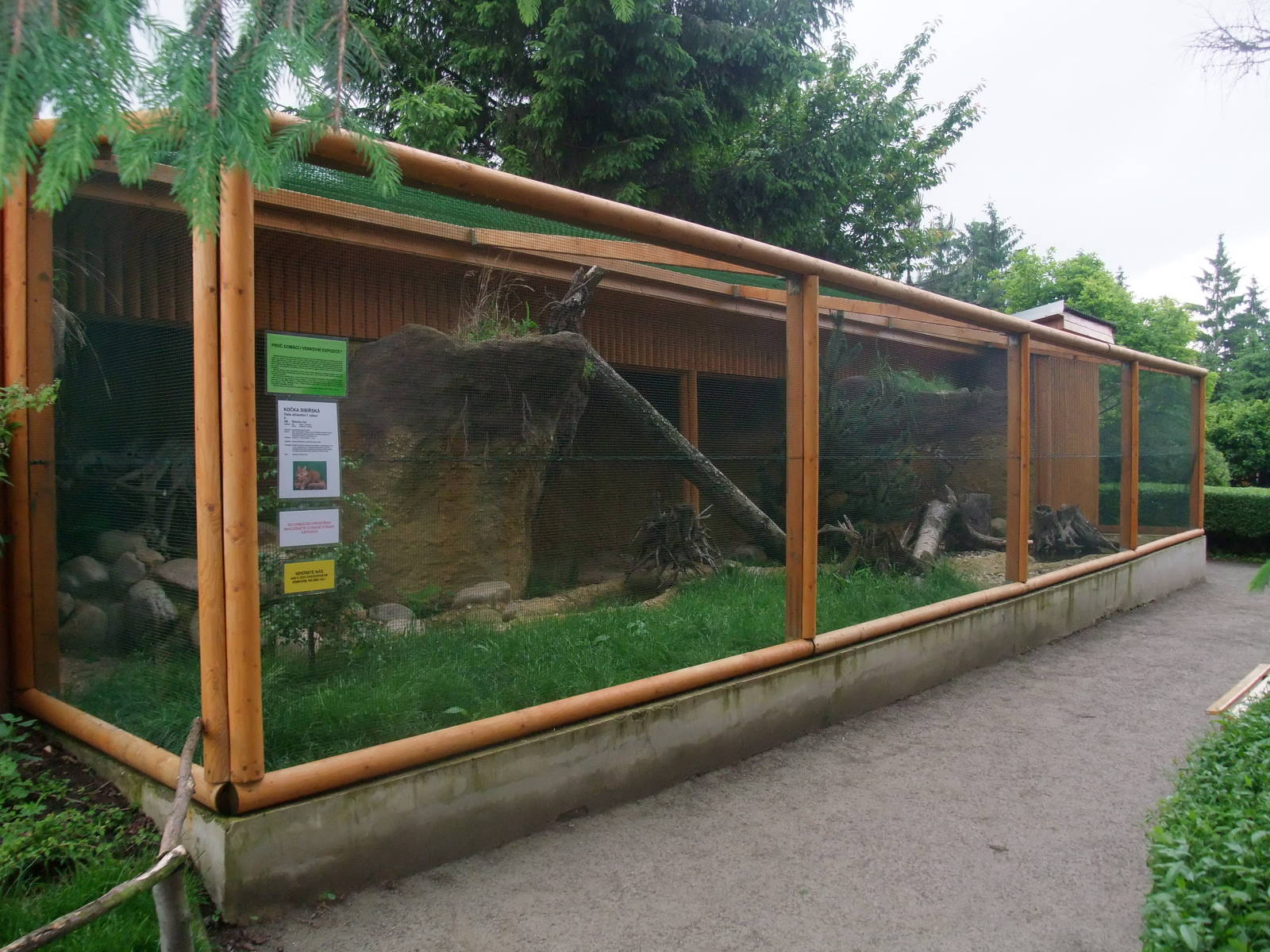 Outdoor Cat exhibit at Vyskov, 30/05/10