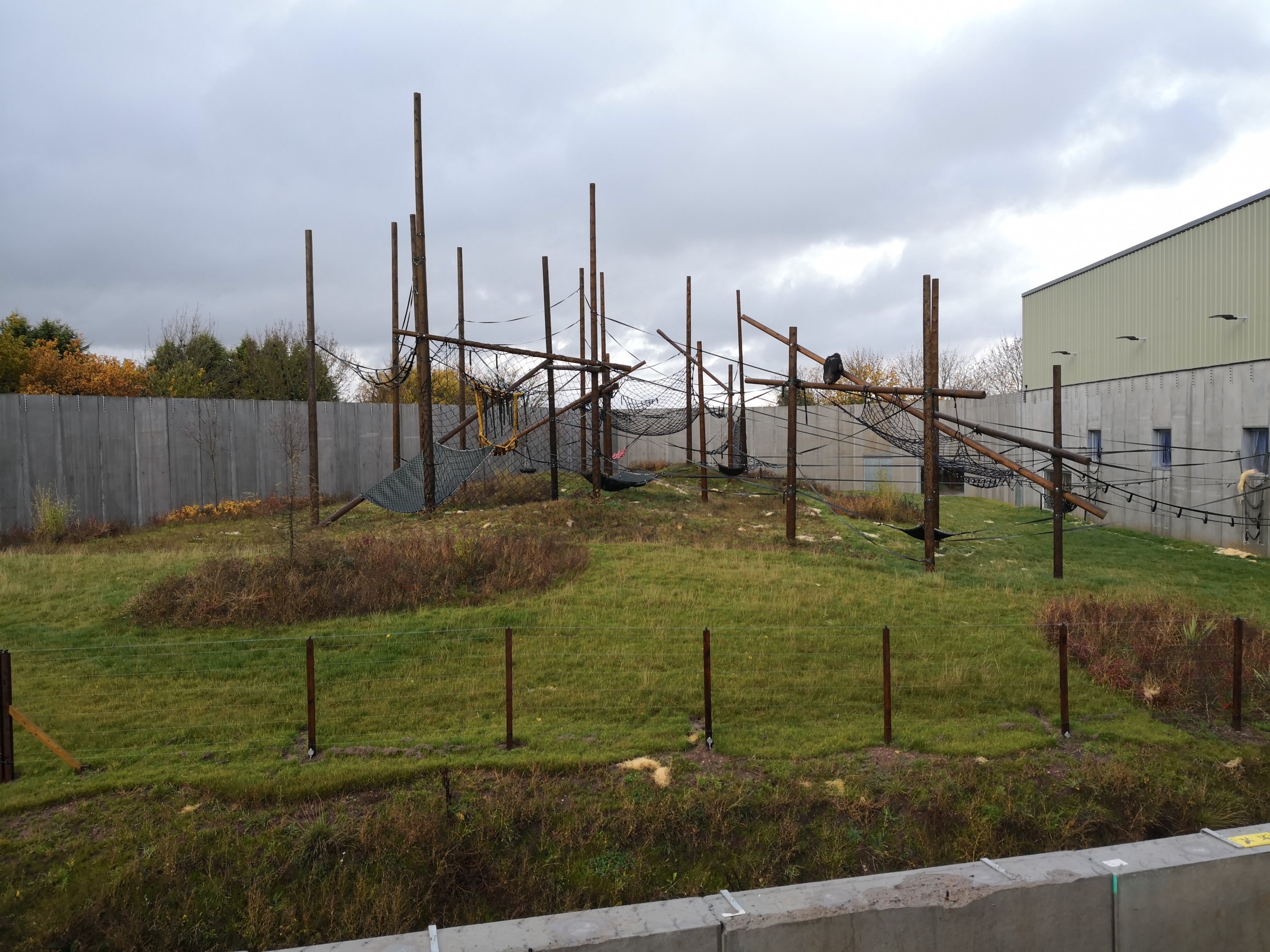 Outdoor Chimp Eden - Twycross