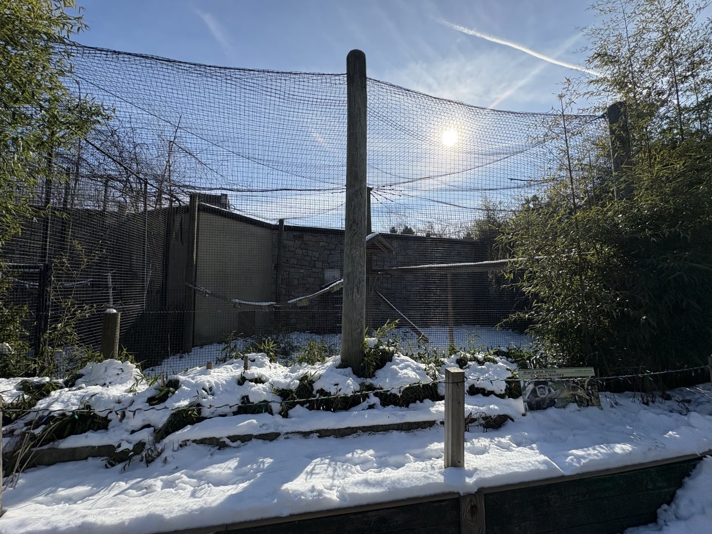 Outdoor Colobus Enclosure - Jan 26, 2025