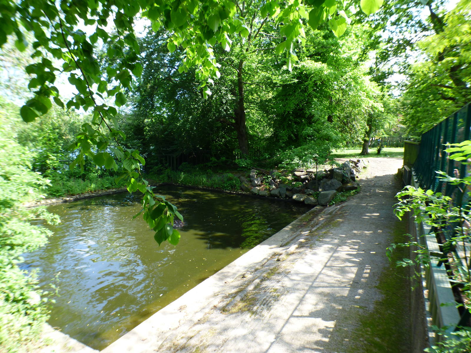 Outdoor Common Hippo Enclosure
