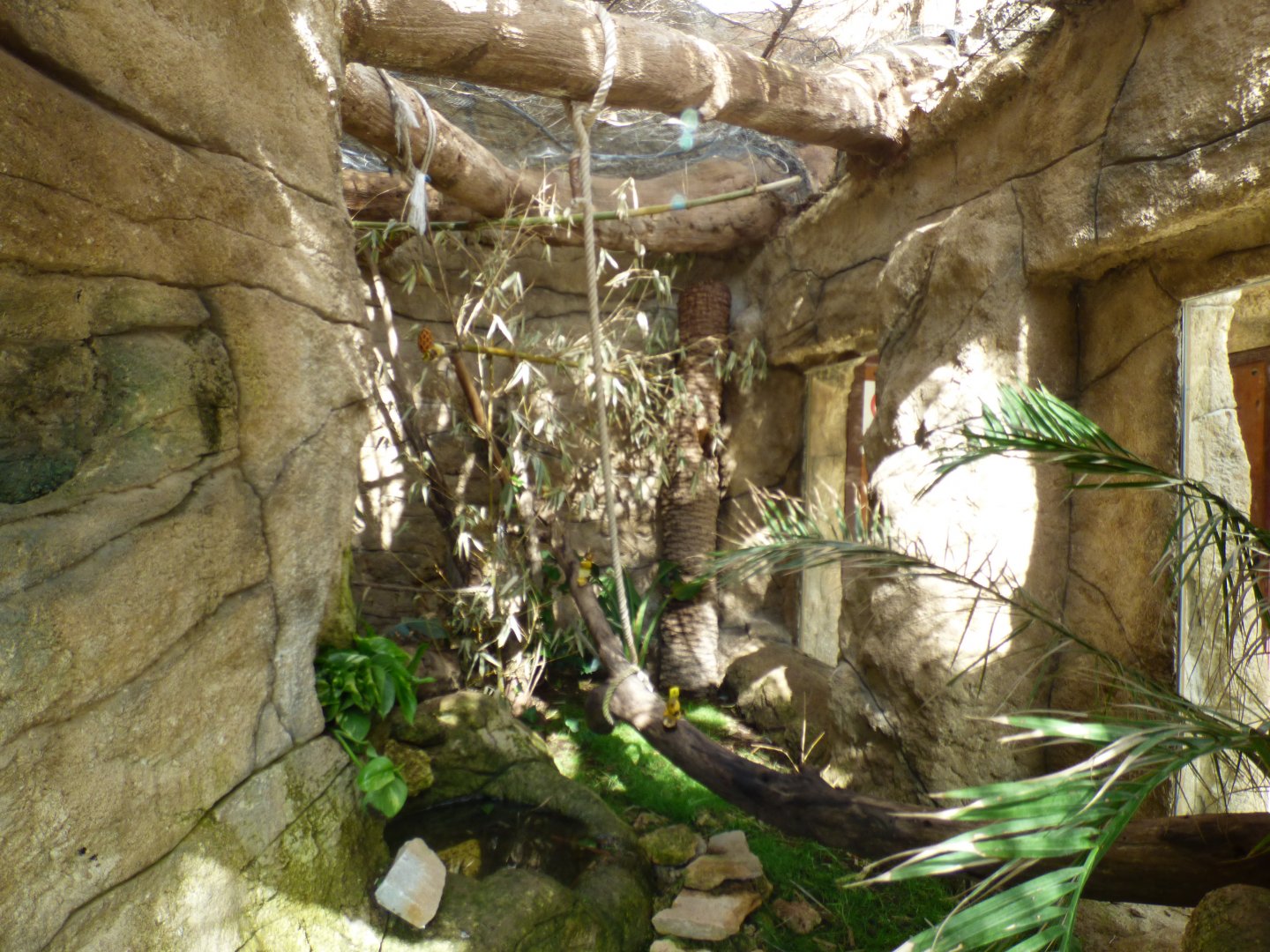 Outdoor Common Marmoset Enclosure