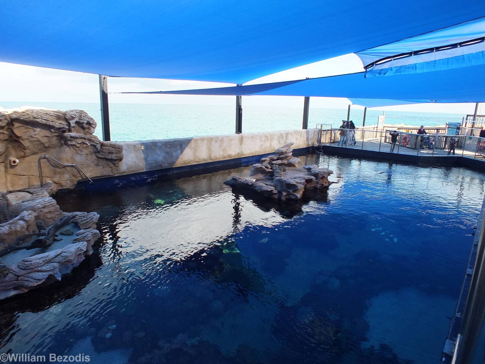 Outdoor Coral Reef Tank