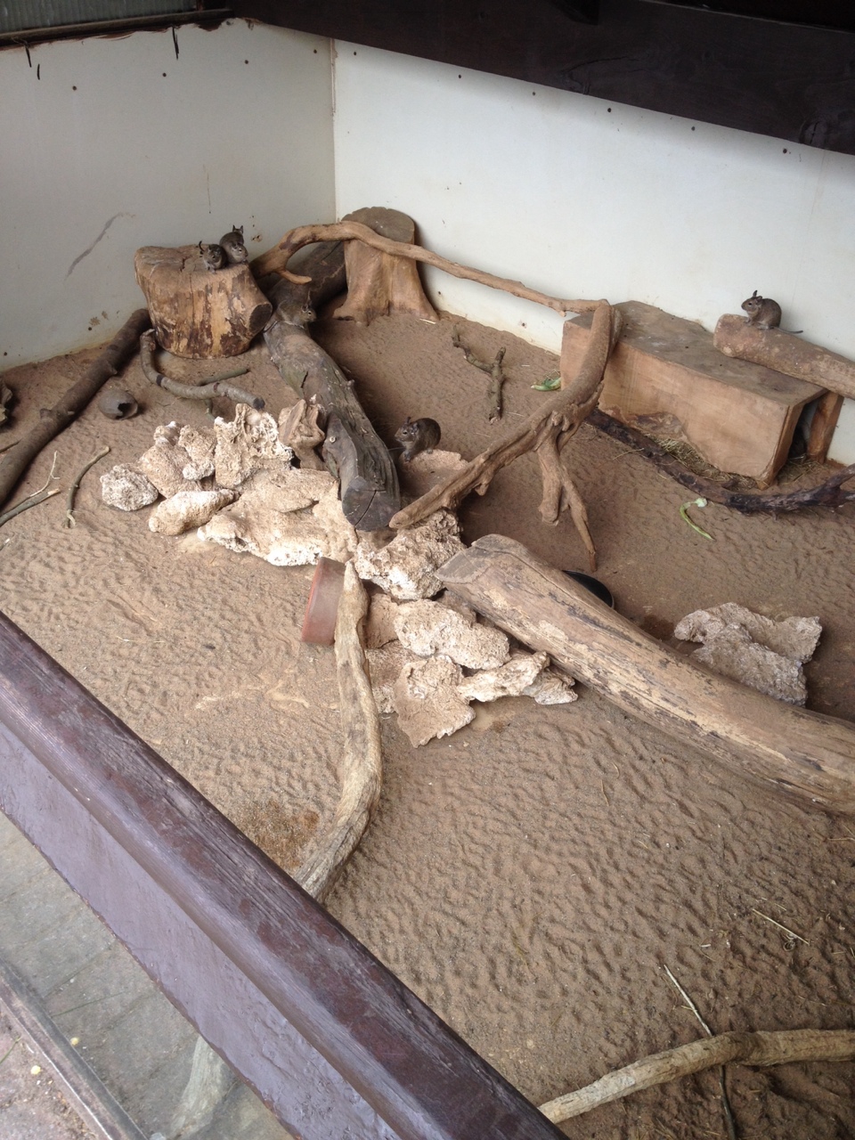 Outdoor Deg Enclosure