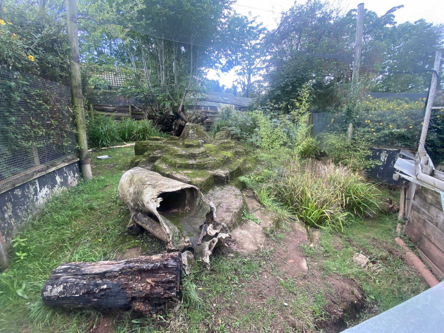 Outdoor echidna/potoroo exhibit 030925