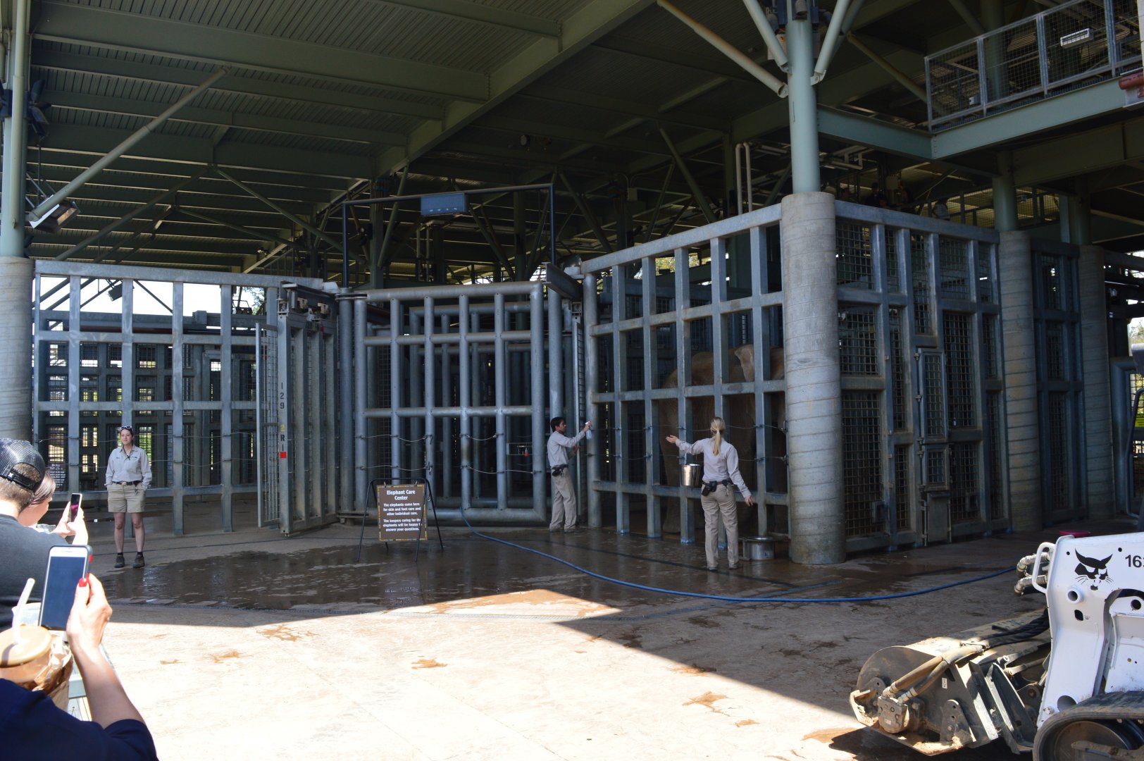 Outdoor Elephant-care Facilities