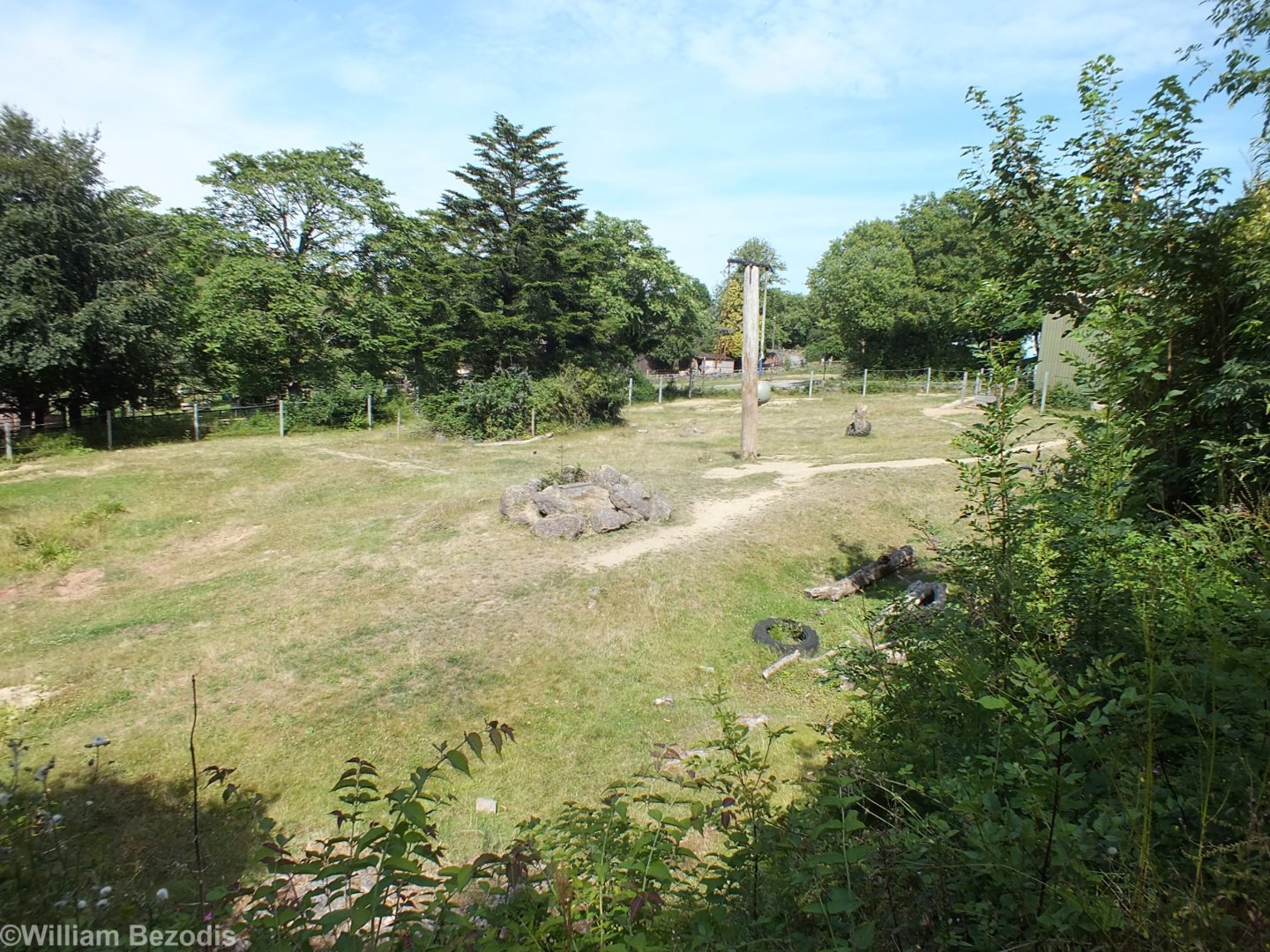 Outdoor Elephant Enclosure