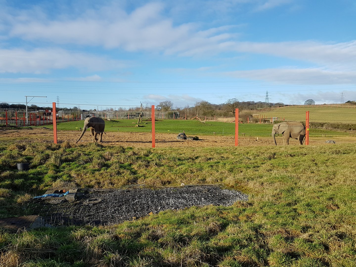 Outdoor Elephant Facility - Noahs Ark Zoo Farm