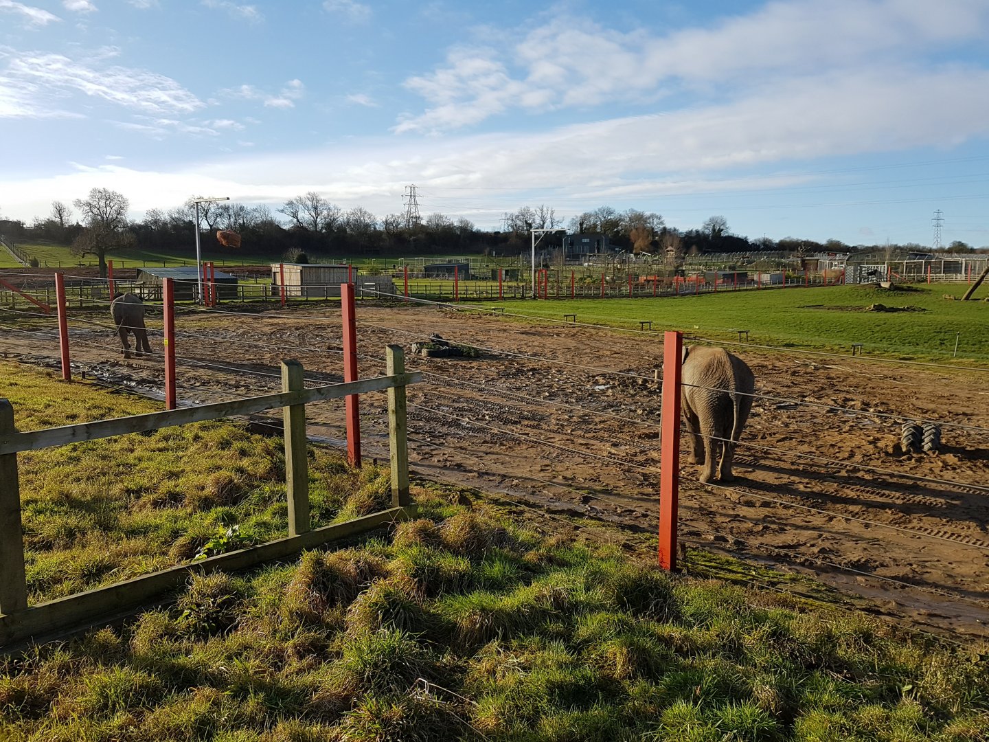 Outdoor Elephant Facility - Noahs Ark Zoo Farm