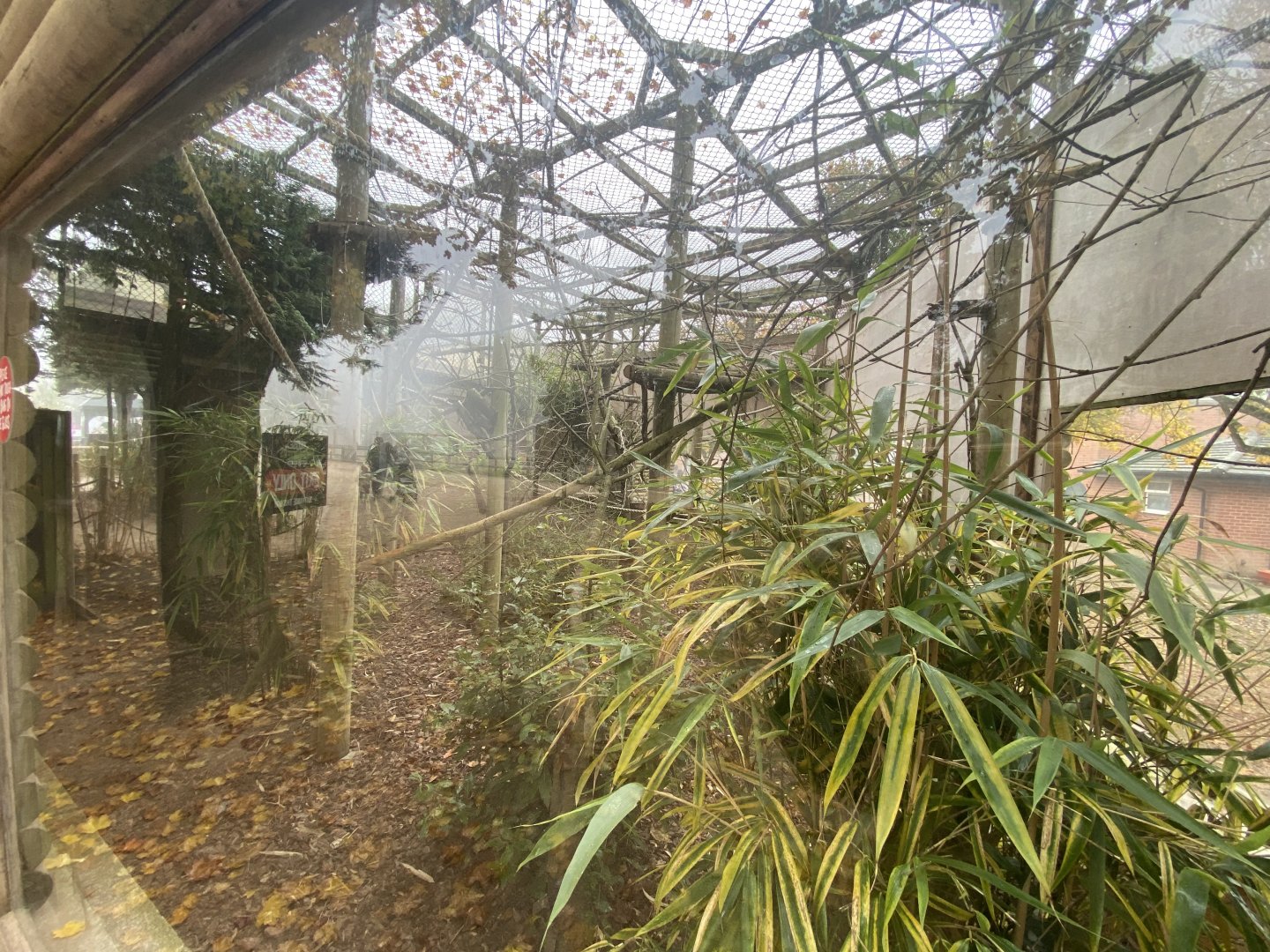 Outdoor Emperor tamarin enclosure