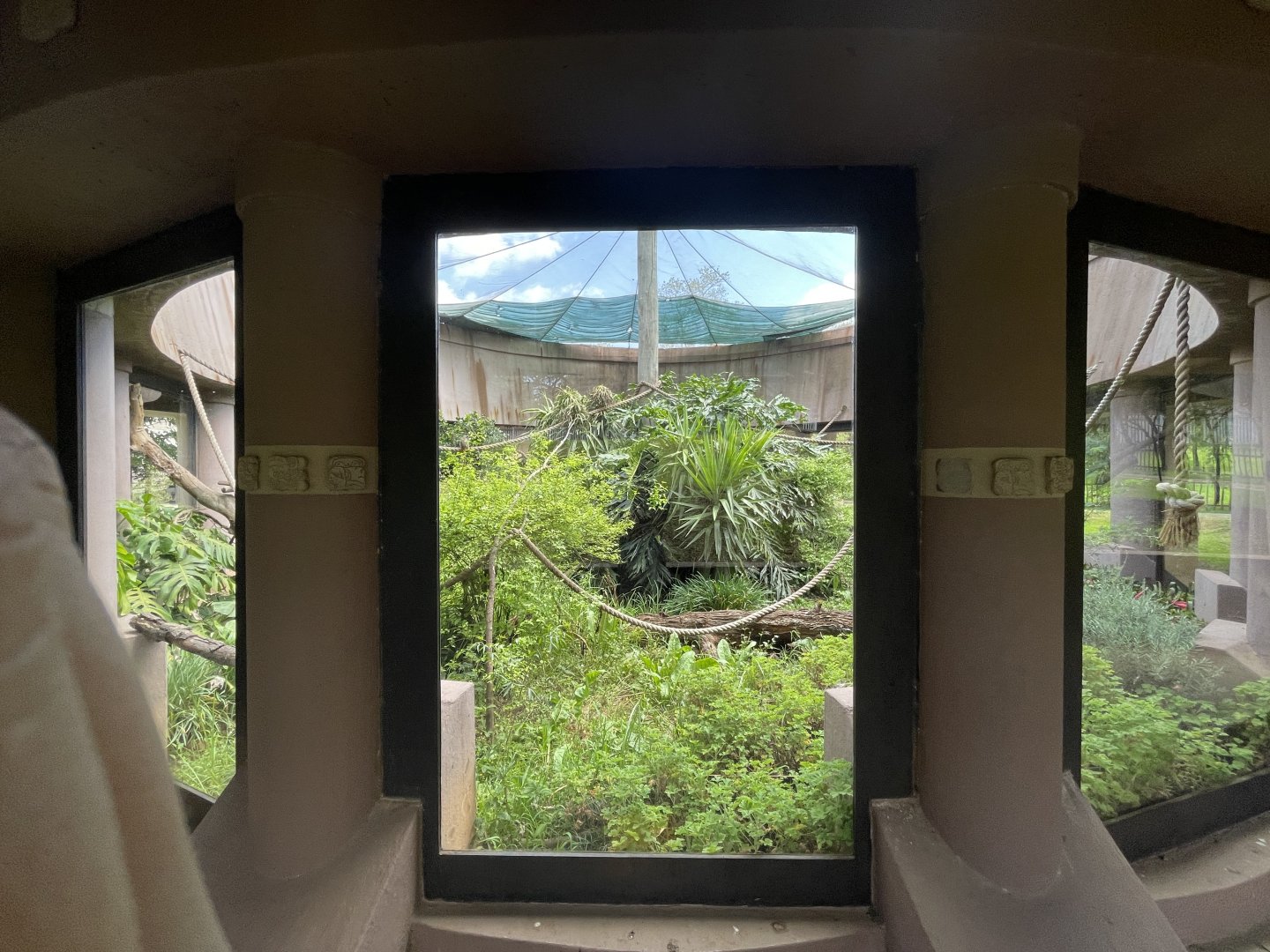 Outdoor Emperor Tamarin Exhibit