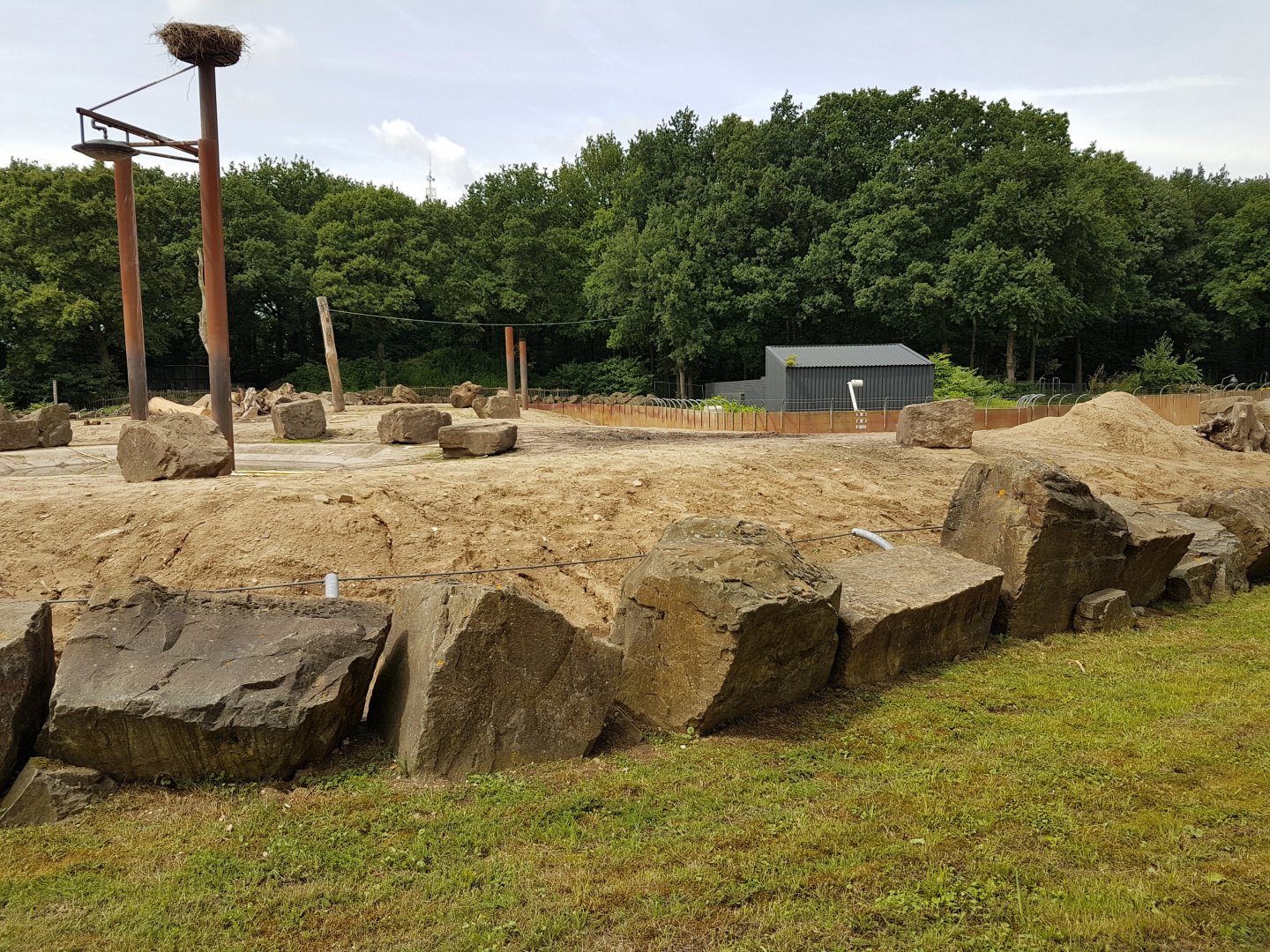 Outdoor-enclosure African elephant