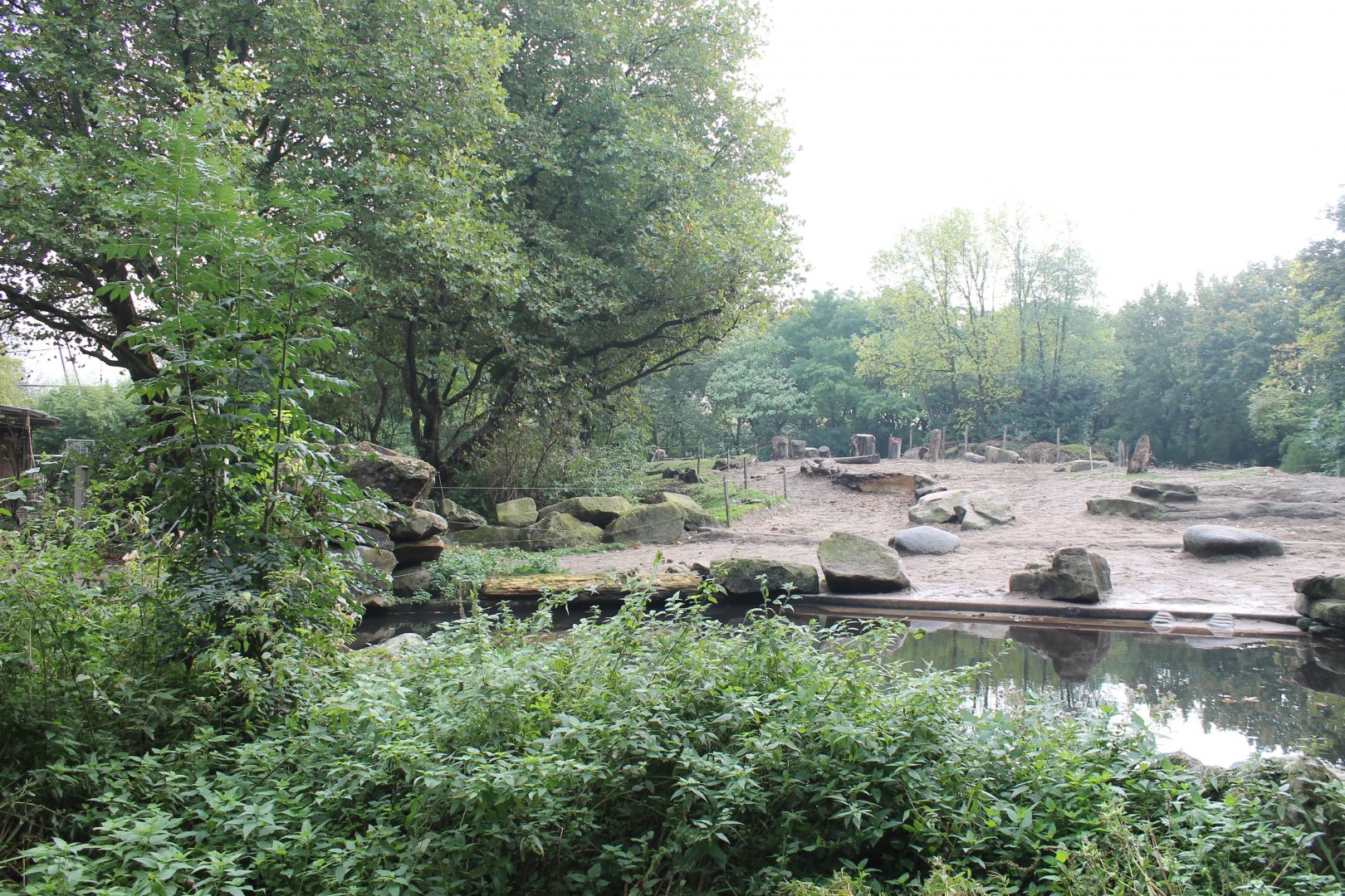 Outdoor-enclosure Asian elephant