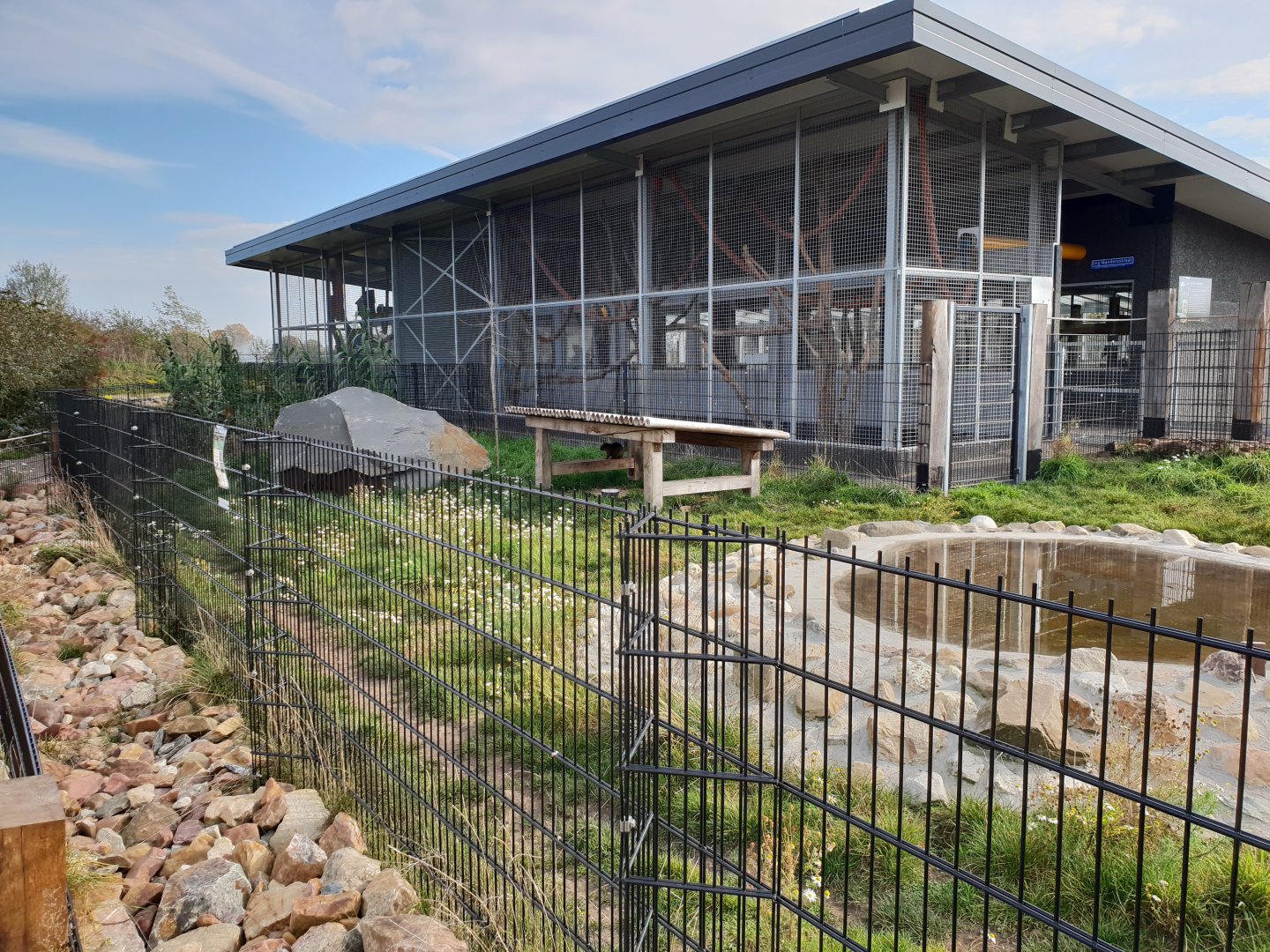 Outdoor-enclosure Azara agouti and South America-building