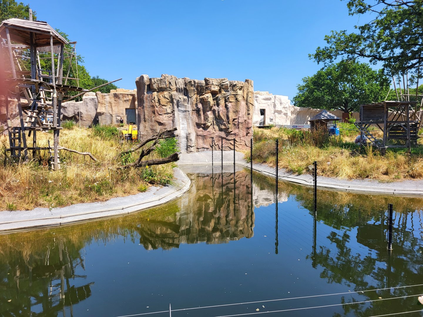 Outdoor-enclosure Bonobos