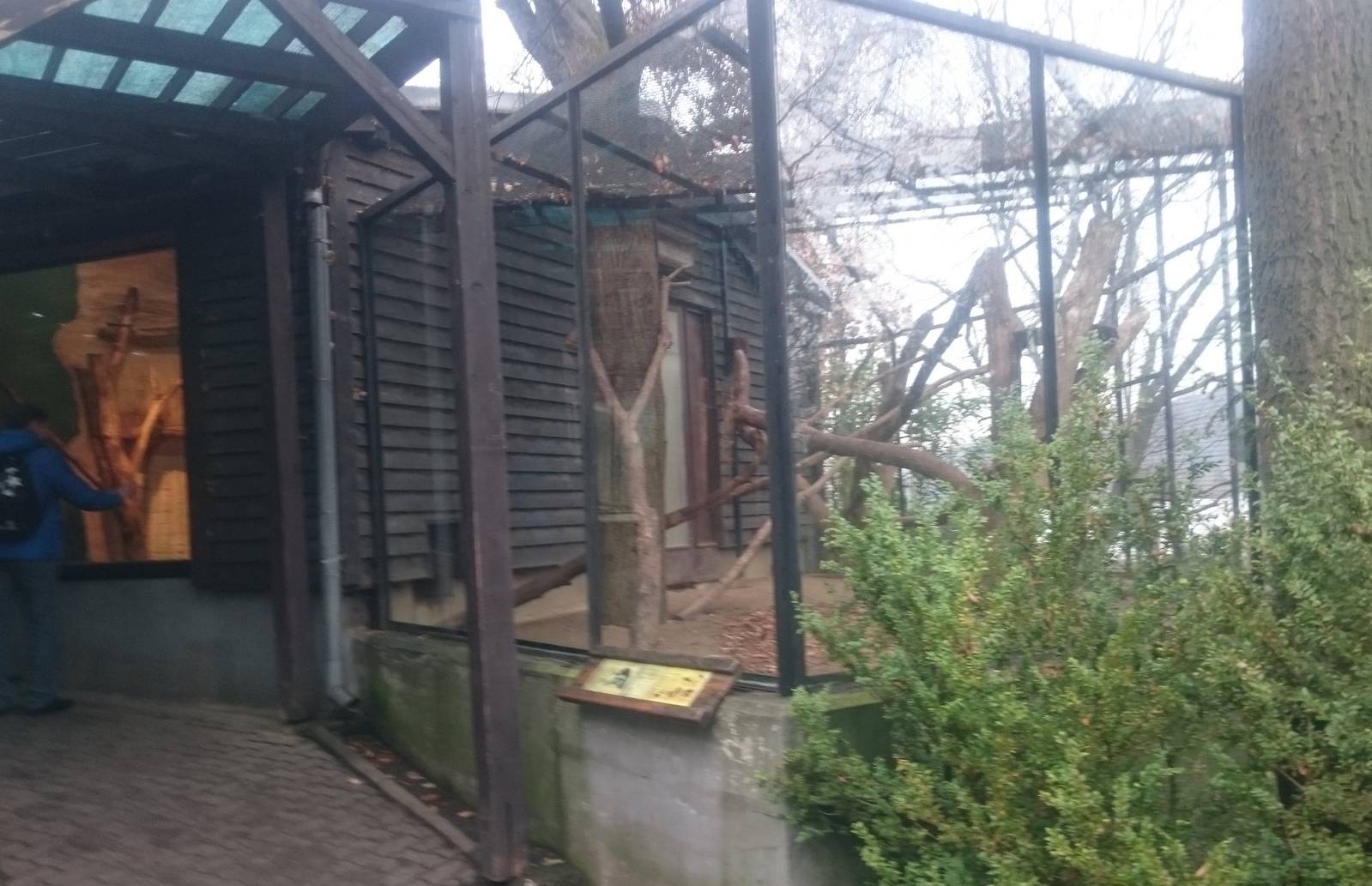 Outdoor enclosure Cuban hutia