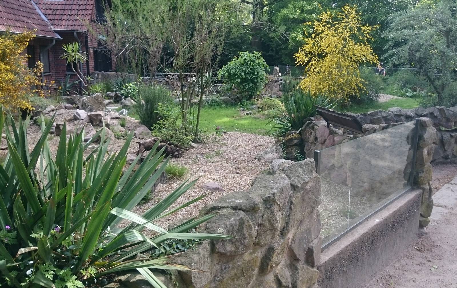 Outdoor enclosure European herps