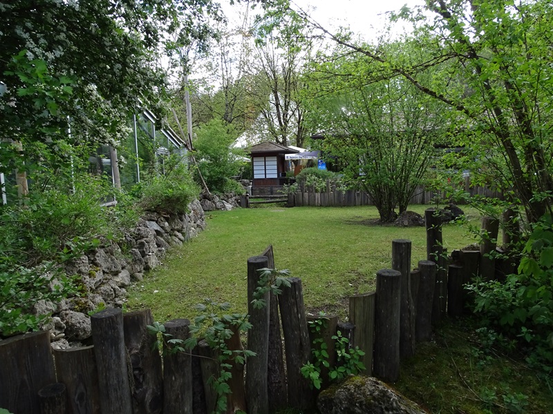 Outdoor enclosure for Aldabra giant tortoise