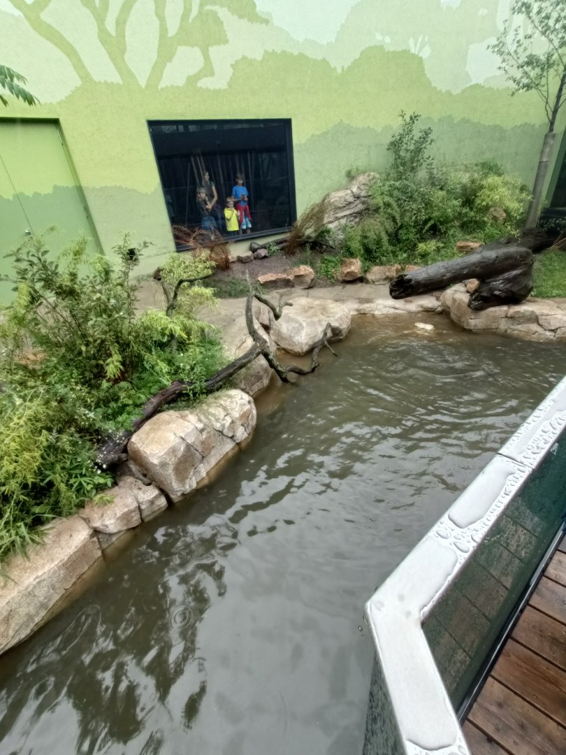 Outdoor enclosure for Smooth-coated Otters - new Orangutan-Haus