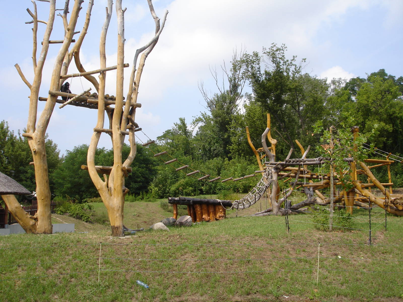 Outdoor enclosure for the Chimpanzees