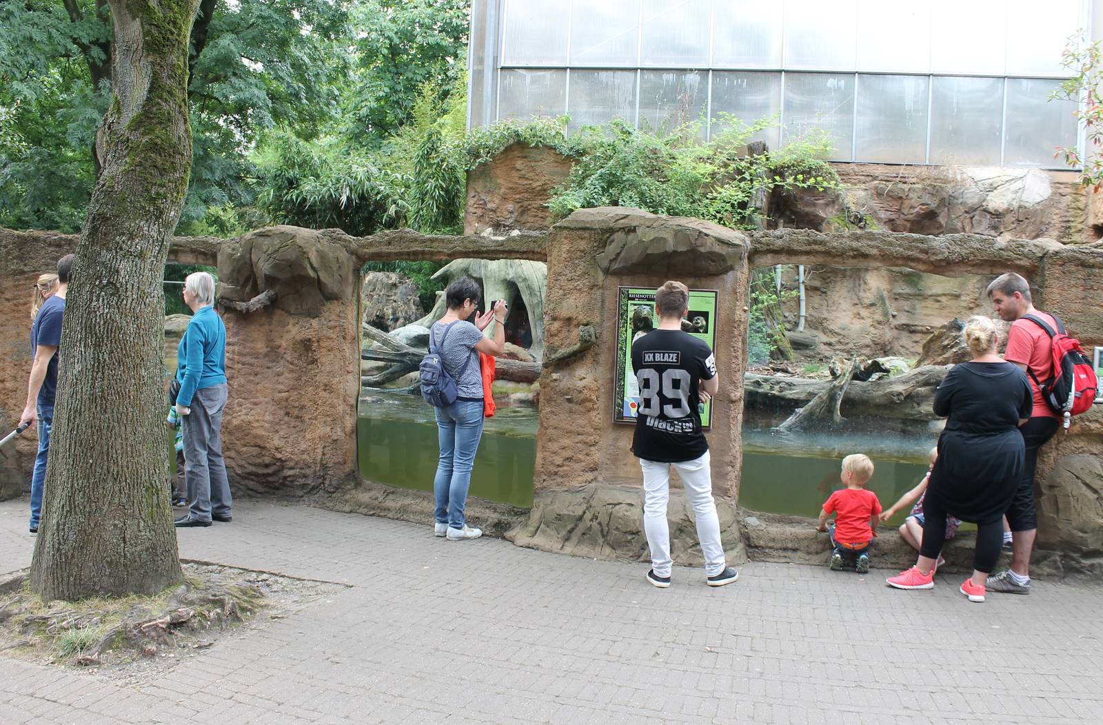 Outdoor enclosure Giant otter