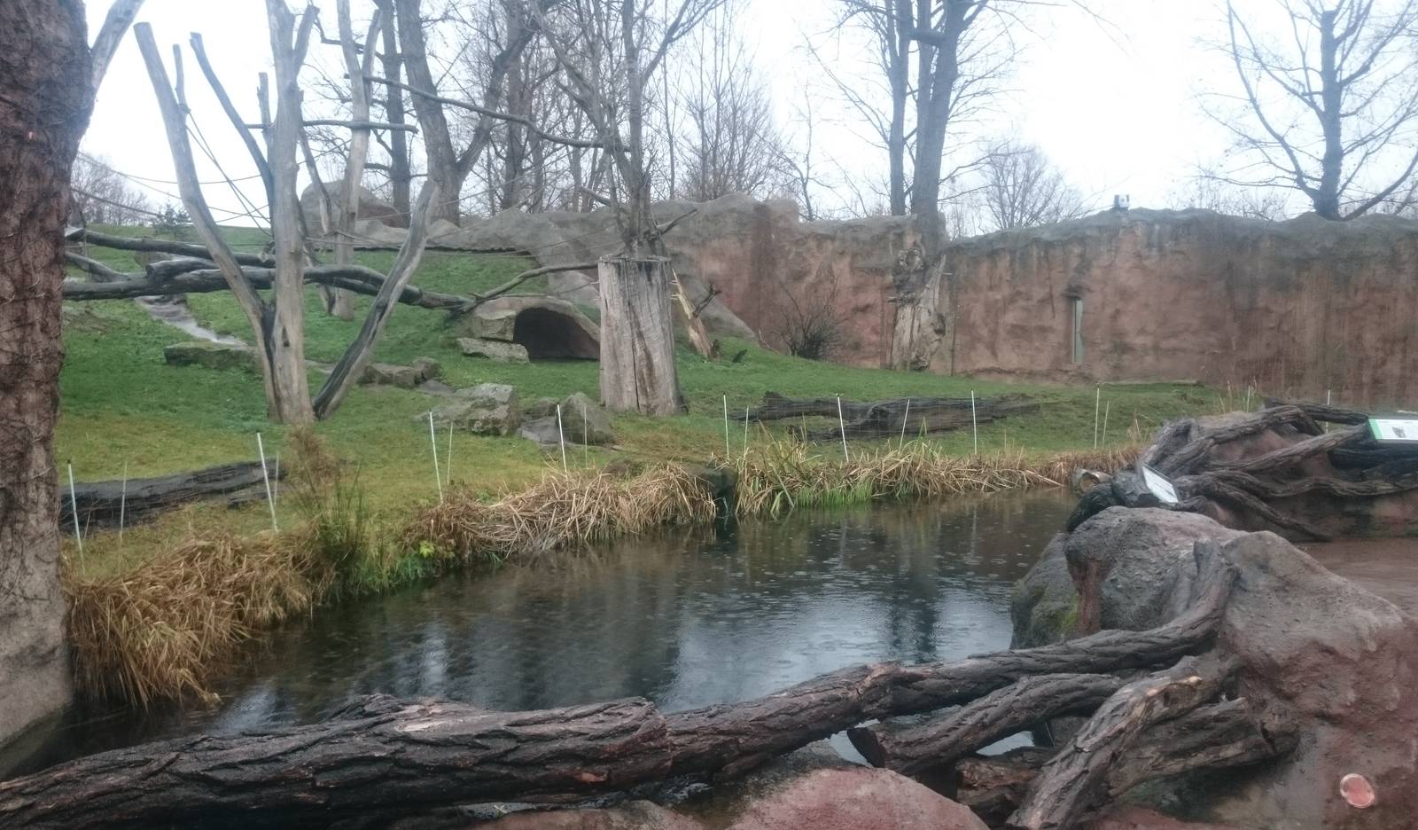 Outdoor enclosure Gorillas