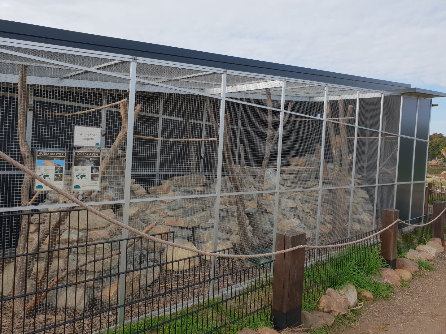 Outdoor-enclosure Guira cuckoo and Rock cavy