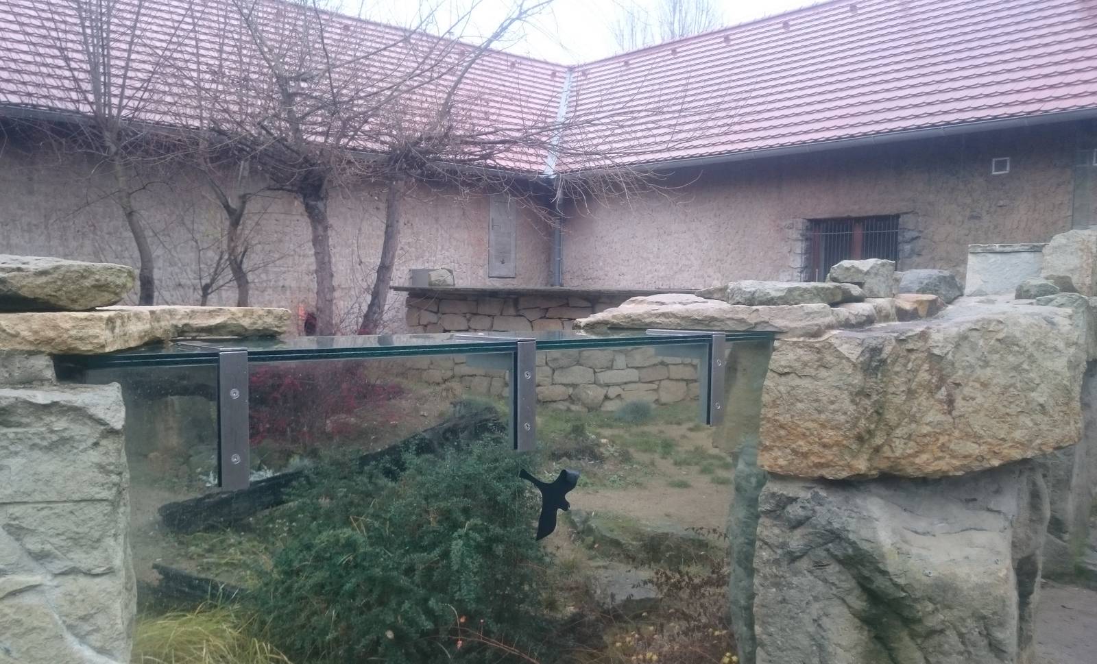 Outdoor enclosure Honey badgar