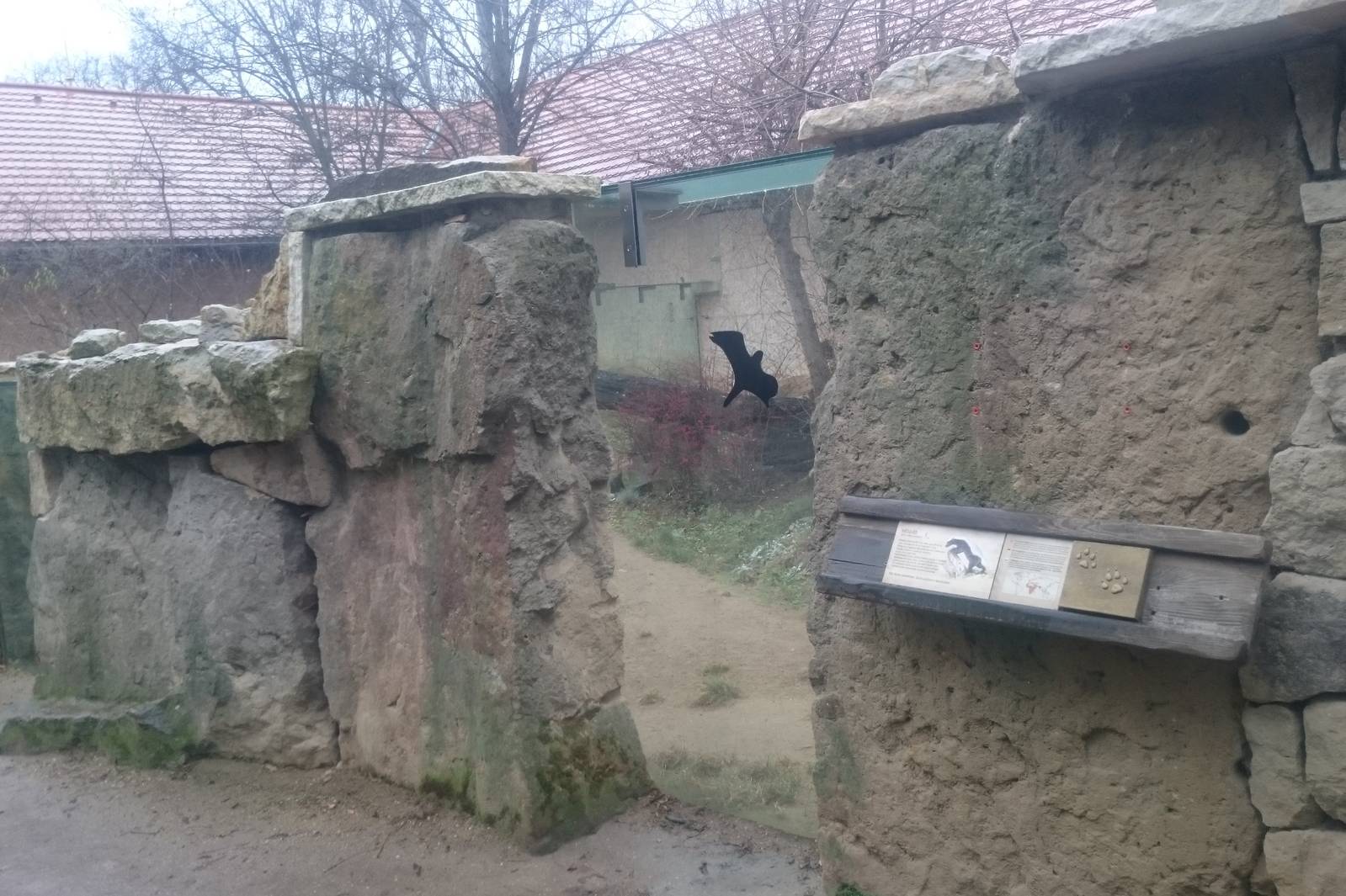 Outdoor enclosure Honey badgar