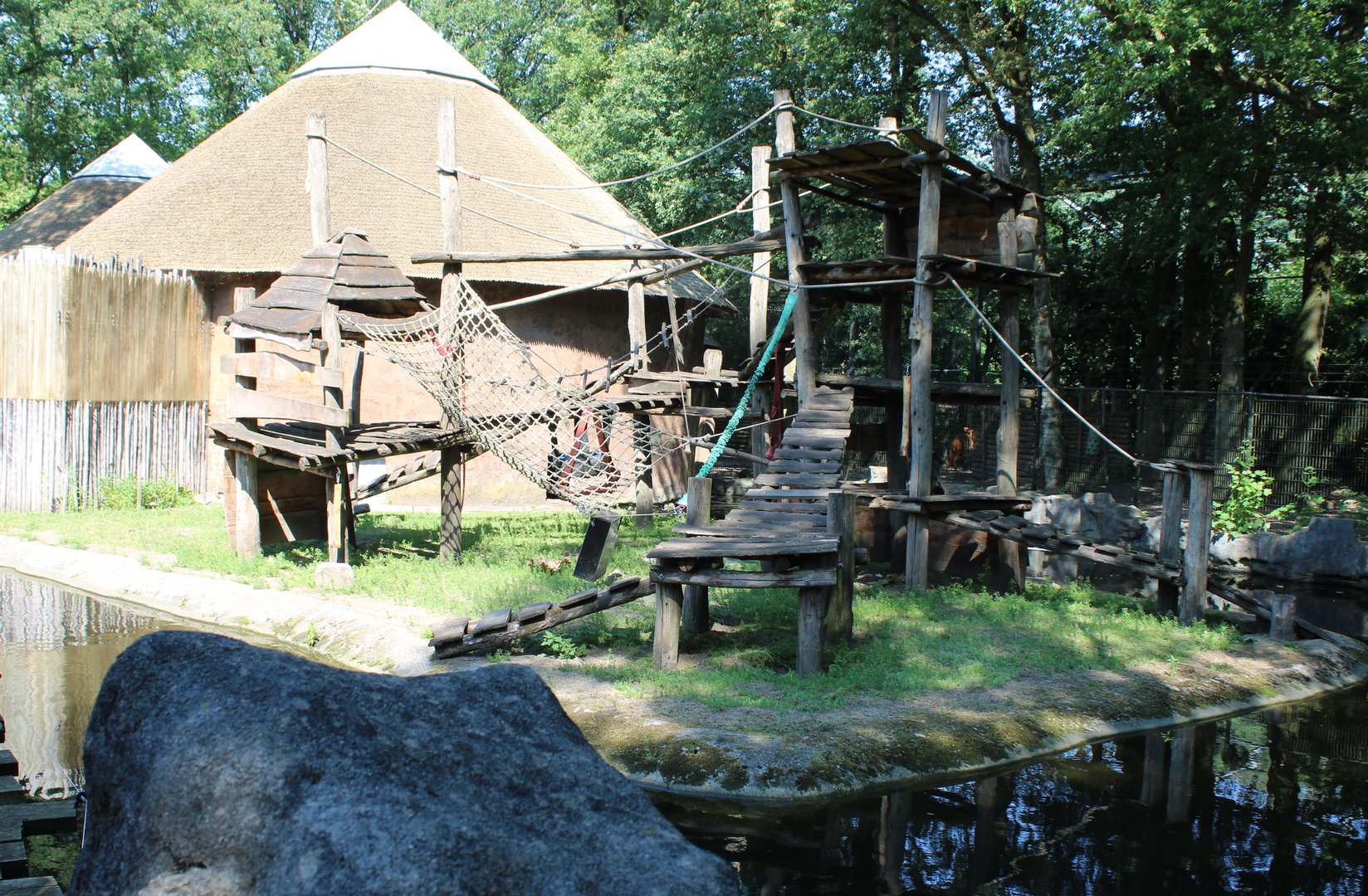 Outdoor-enclosure Mandrill