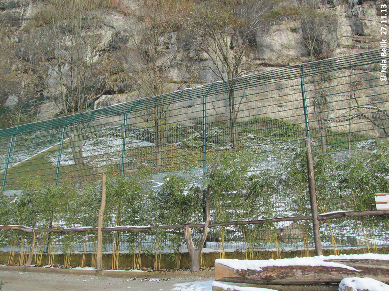 Outdoor enclosure of jaguars at Zoo Salzburg