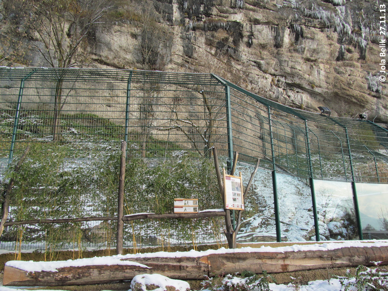 Outdoor enclosure of jaguars at Zoo Salzburg