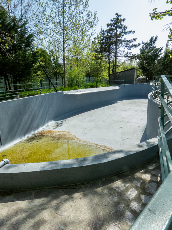 outdoor enclosure of pinnipeds