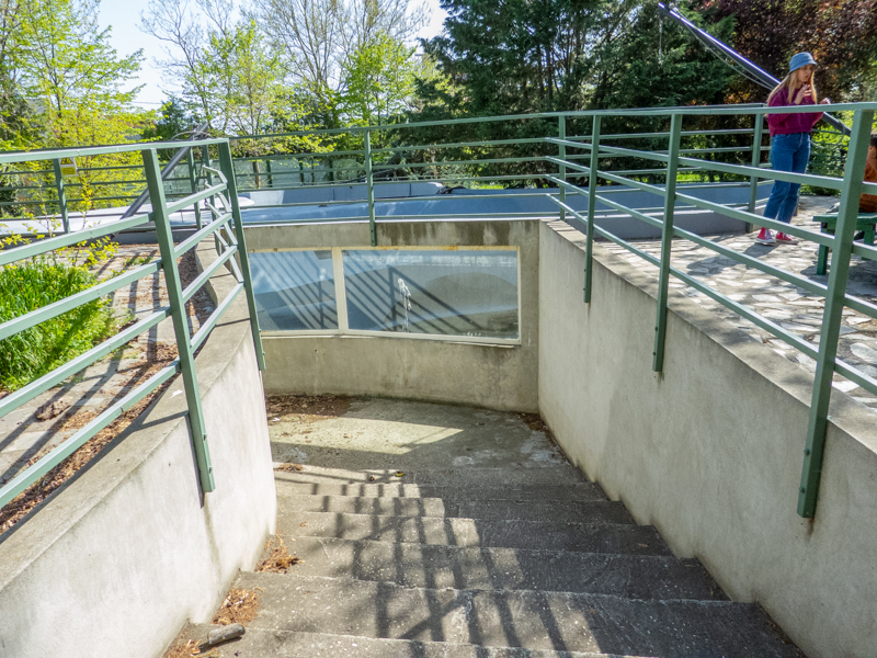 outdoor enclosure of pinnipeds