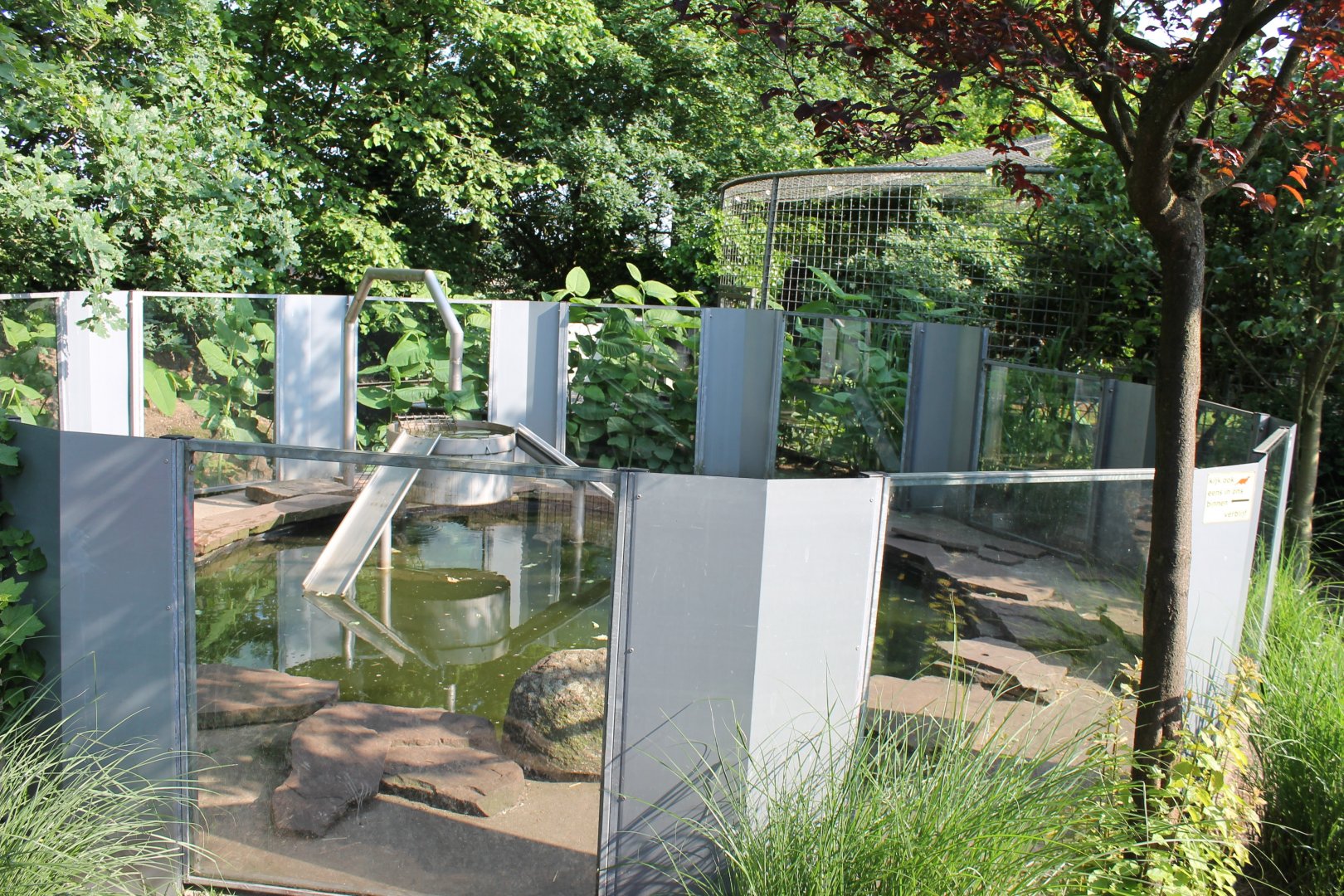 Outdoor-enclosure Otter