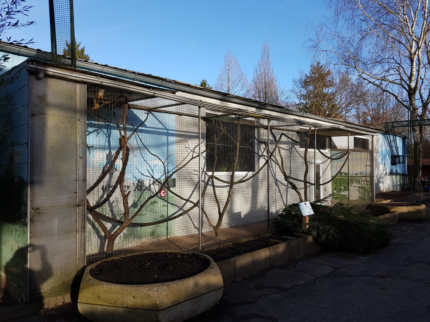 Outdoor-enclosure Squirrel monkey