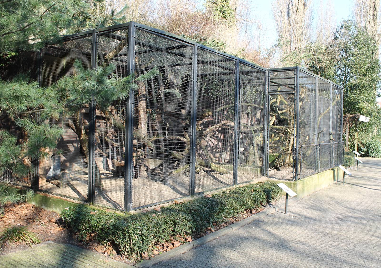 Outdoor enclosures Coati and Binturong