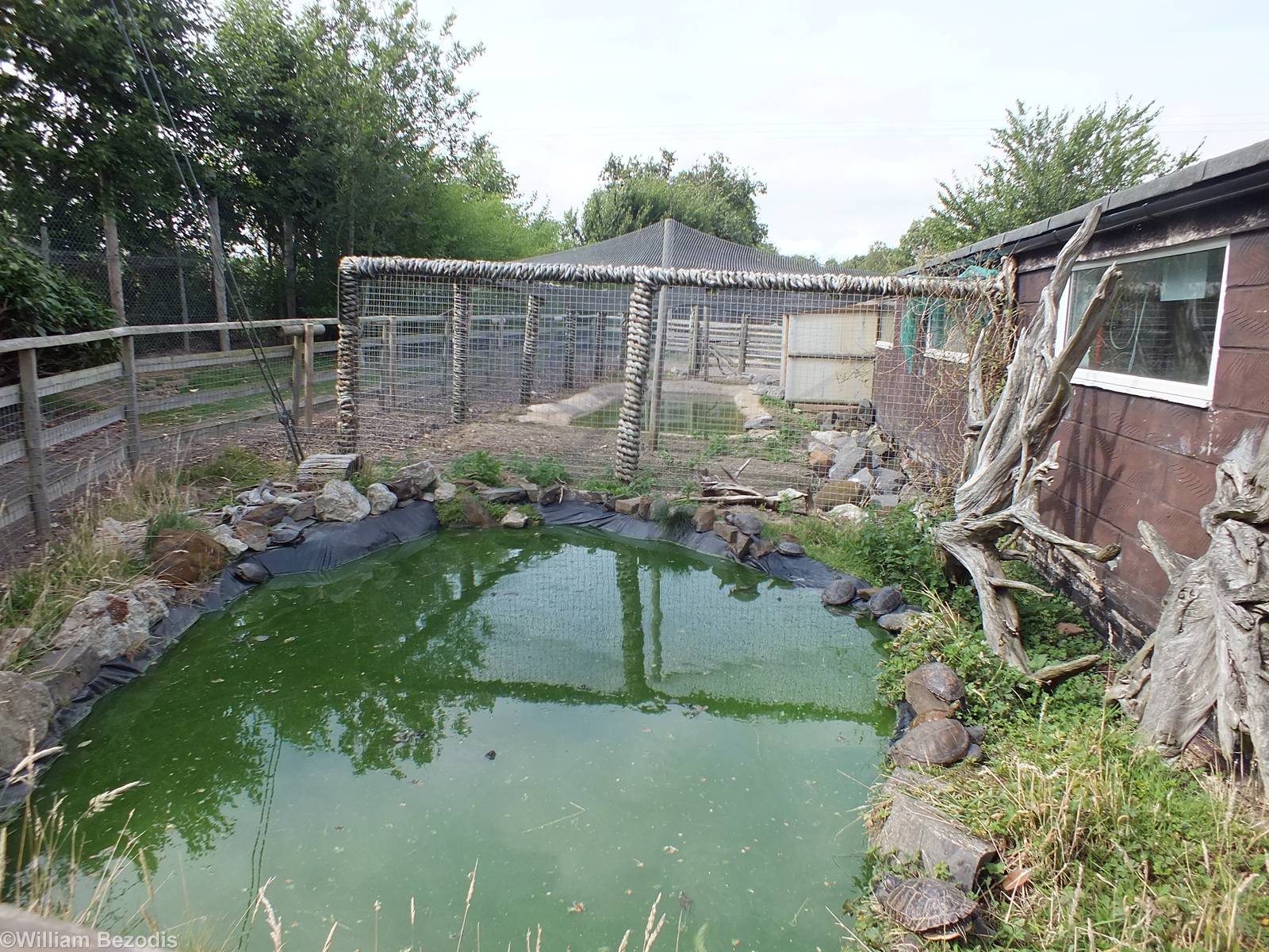 Outdoor Enclosures connected to the Reptile House
