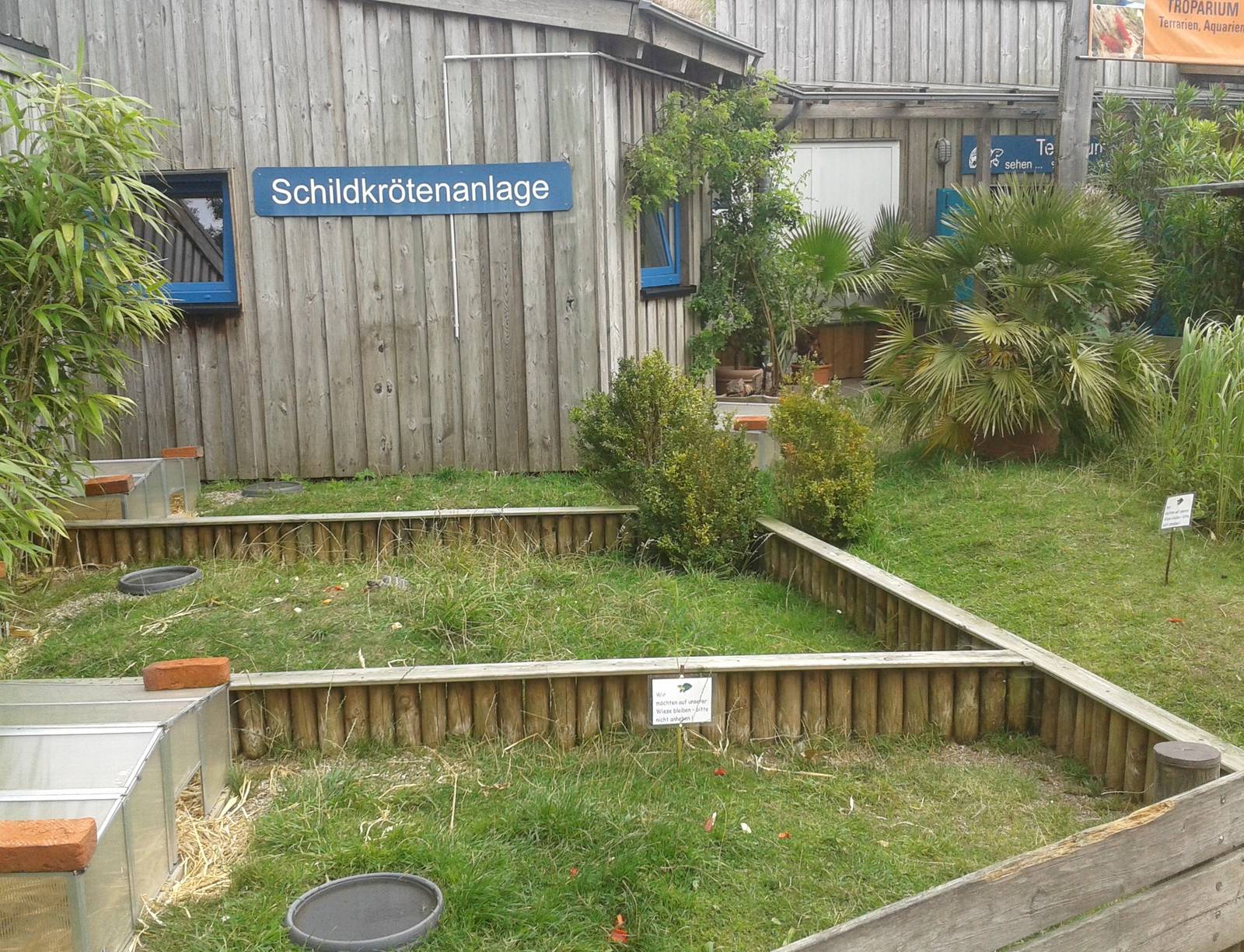 Outdoor enclosures European tortoises