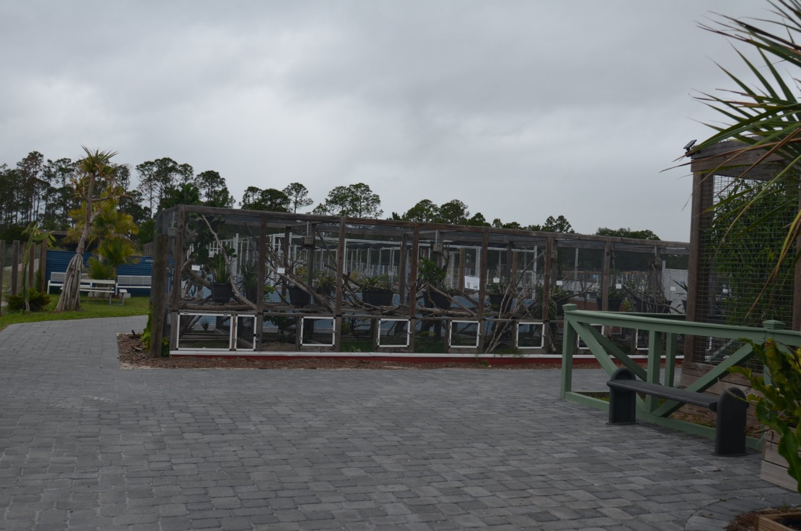 Outdoor Enclosures for Iguanas