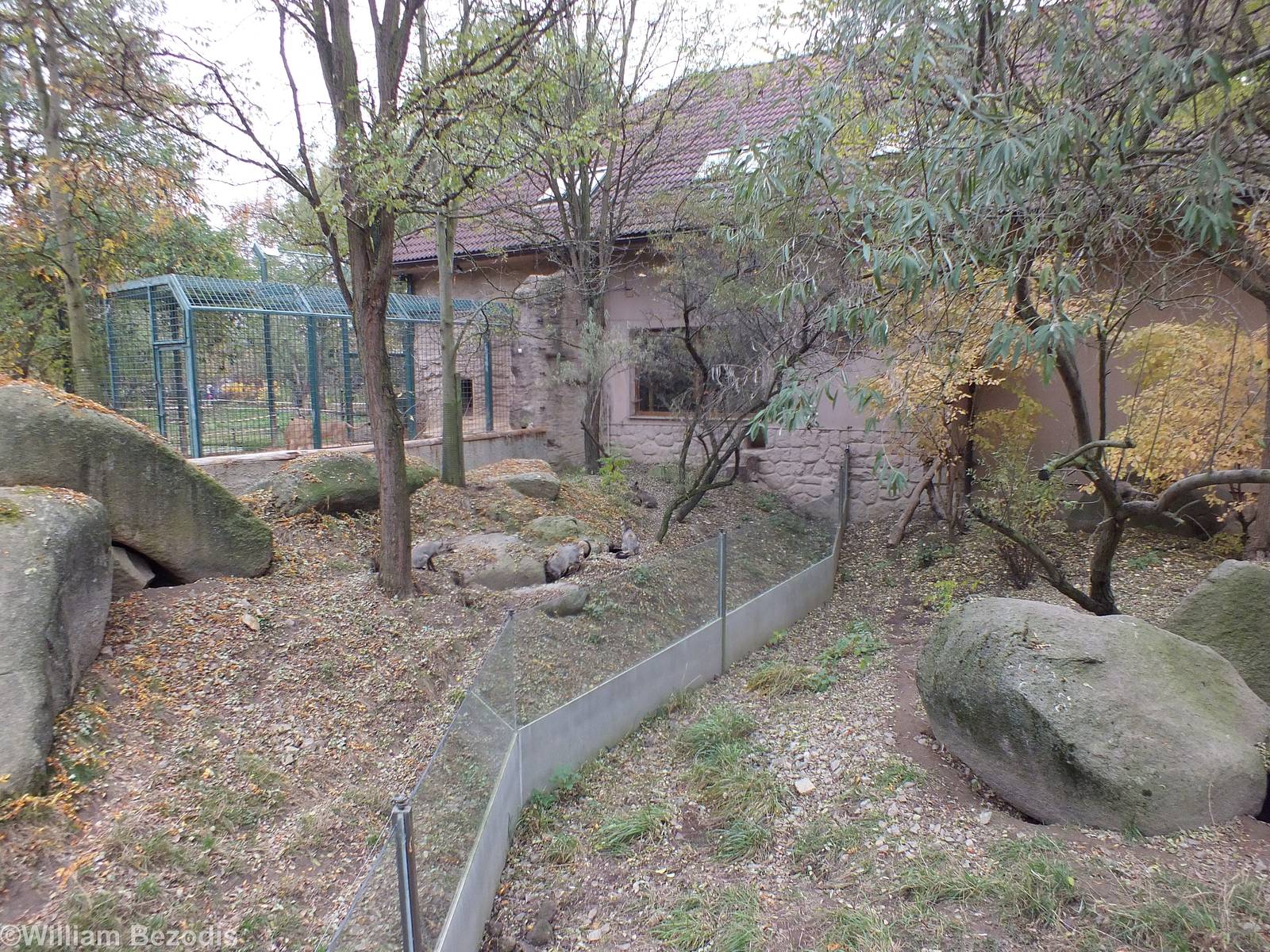Outdoor Enclosures of African House
